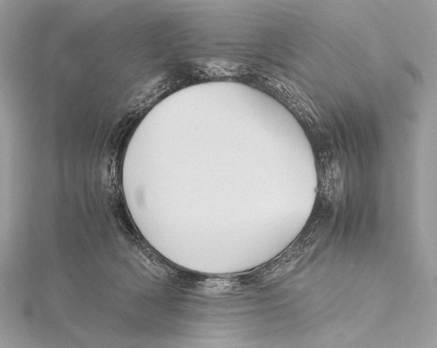 X0000115740418200912031431