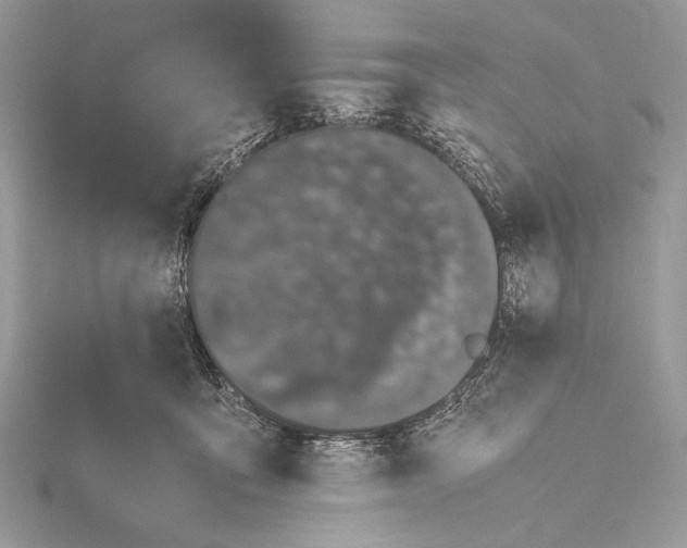 X0000115740419200912031431