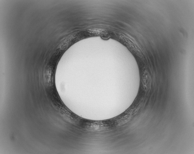 X0000115740420200912031431