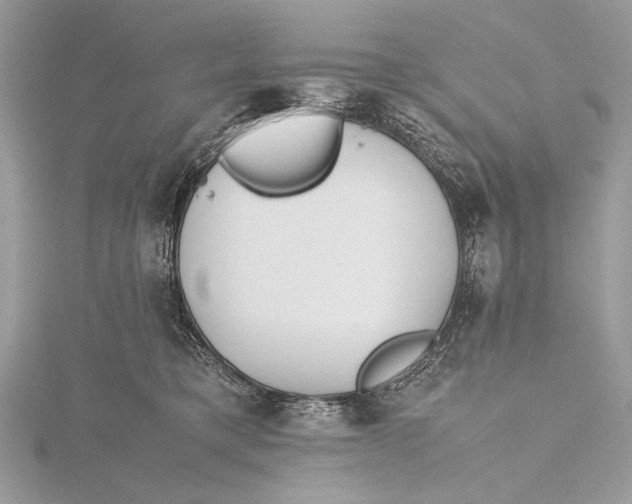 X0000115740421200912031431