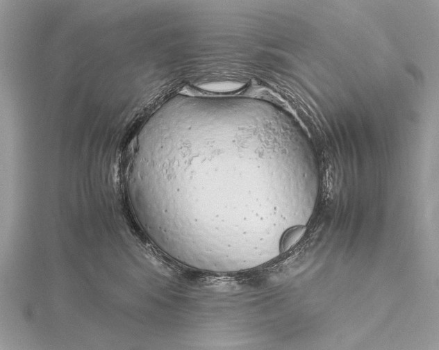 X0000115740424200912031431