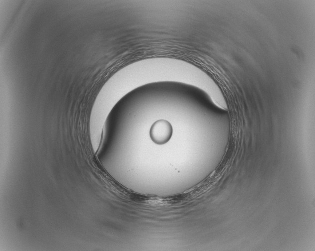 X0000115740425200912031431