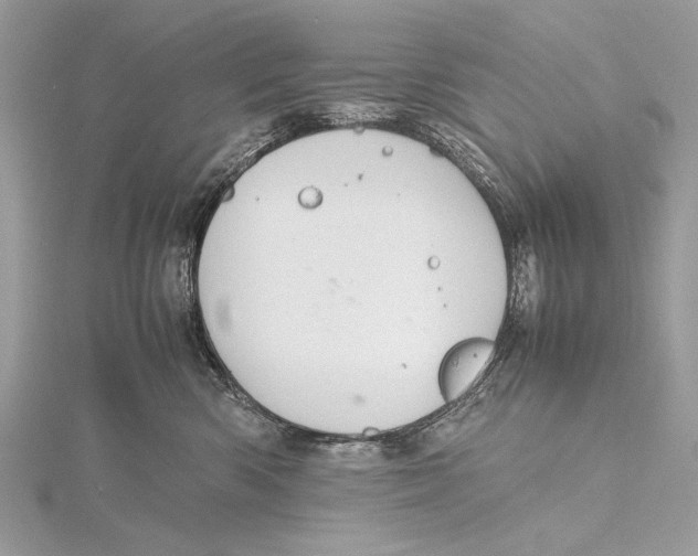 X0000115740426200912031431