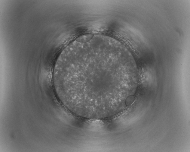 X0000115740427200912031431