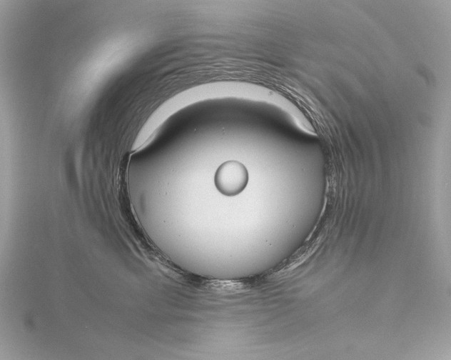 X0000115740429200912031431