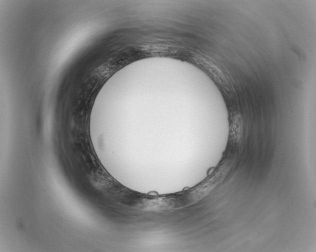 X0000115740430200912031431