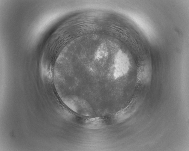 X0000115740431200912031431