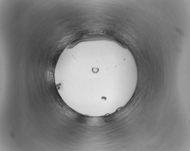 X0000115740432200912031431