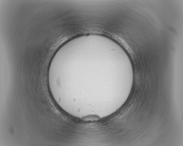 X0000115740433200912031430