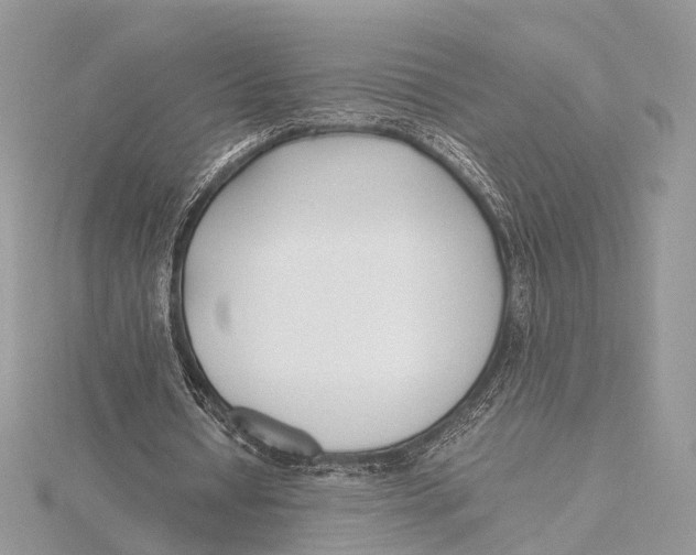 X0000115740434200912031430