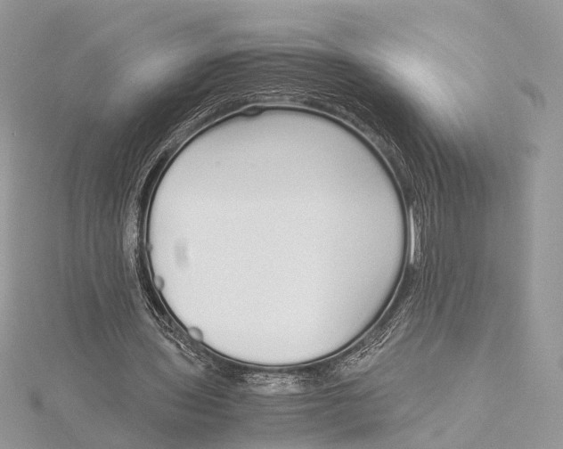 X0000115740435200912031430