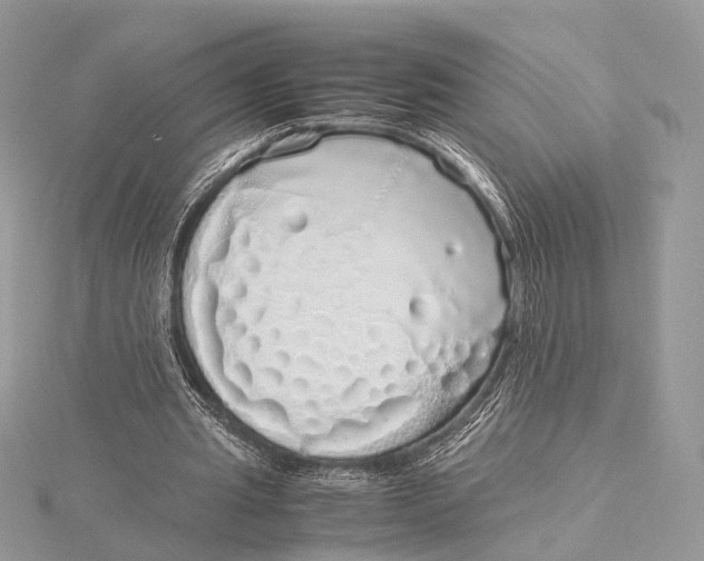 X0000115740437200912031430