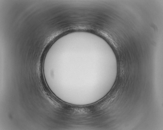 X0000115740439200912031430