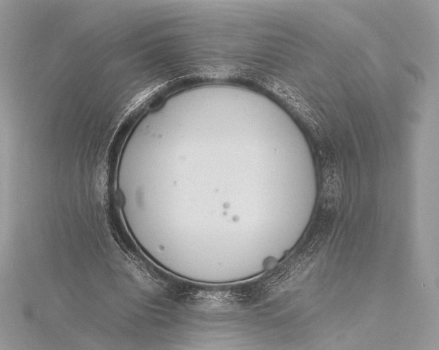 X0000115740440200912031430