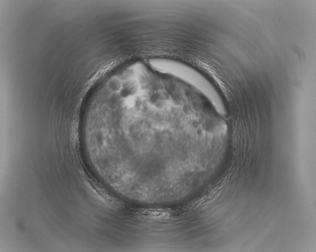 X0000115740443200912031430