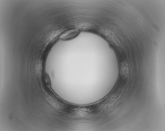 X0000115740448200912031430