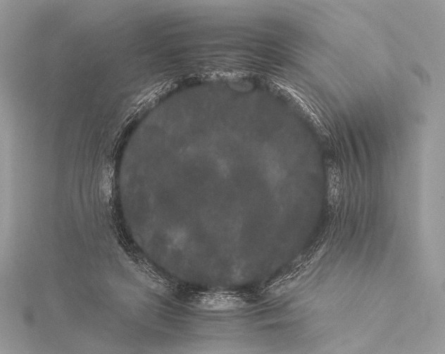 X0000115740451200912031430