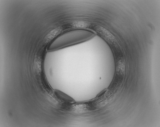 X0000115740452200912031431