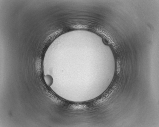 X0000115740453200912031431