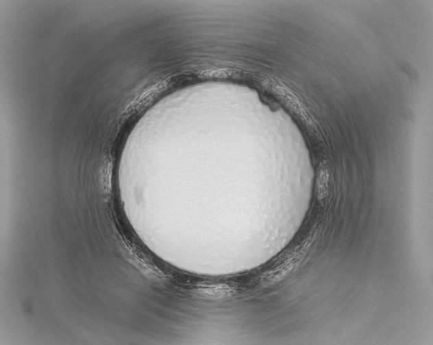 X0000115740454200912031431