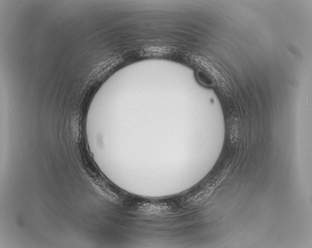 X0000115740455200912031431