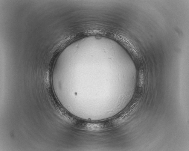 X0000115740457200912031431