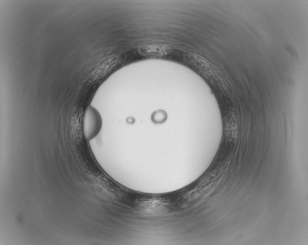 X0000115740460200912031431