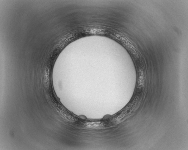 X0000115740461200912031431