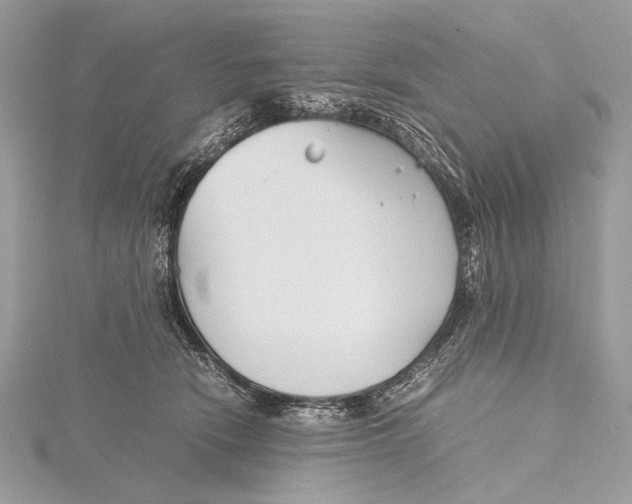 X0000115740466200912031431