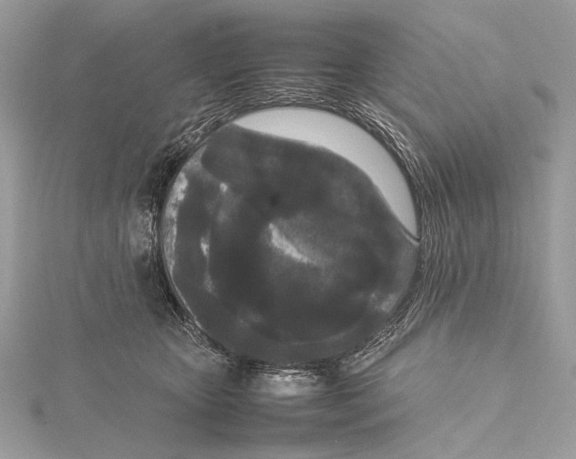 X0000115740467200912031431