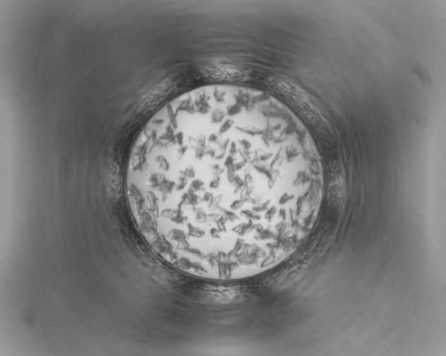 X0000115740469200912031431