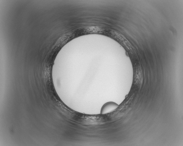 X0000115740473200912031431