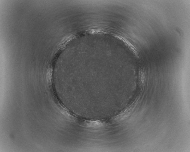 X0000115740475200912031431