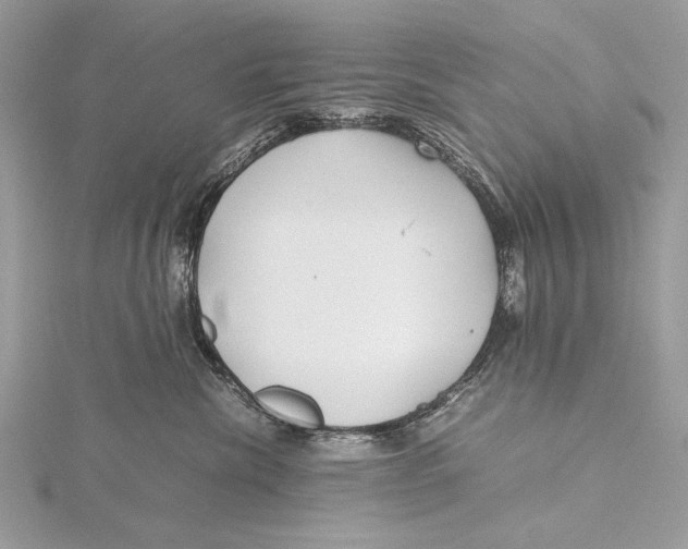 X0000115740476200912031431