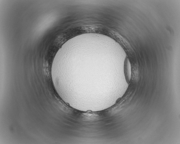 X0000115740477200912031431