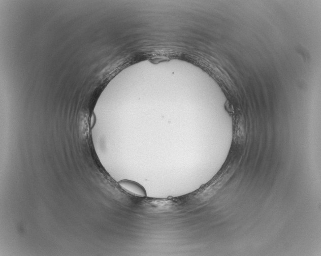 X0000115740478200912031431