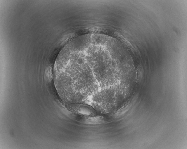 X0000115740479200912031431