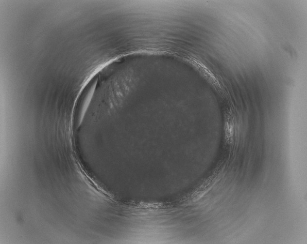 X0000115740484200912031430