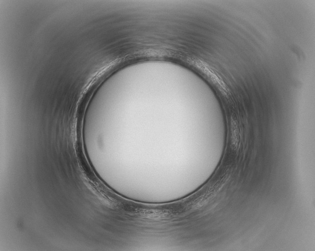 X0000115740486200912031430