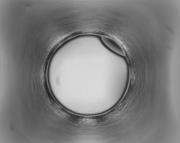 X0000115740487200912031430