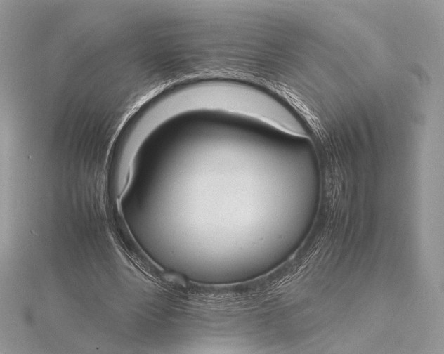 X0000115740488200912031430