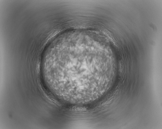 X0000115740491200912031430