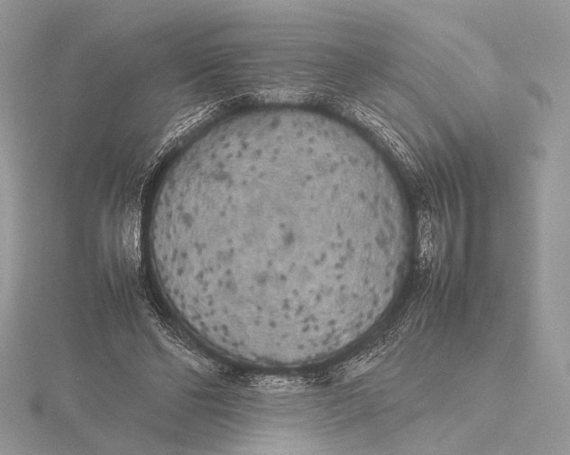 X0000115740494200912031430