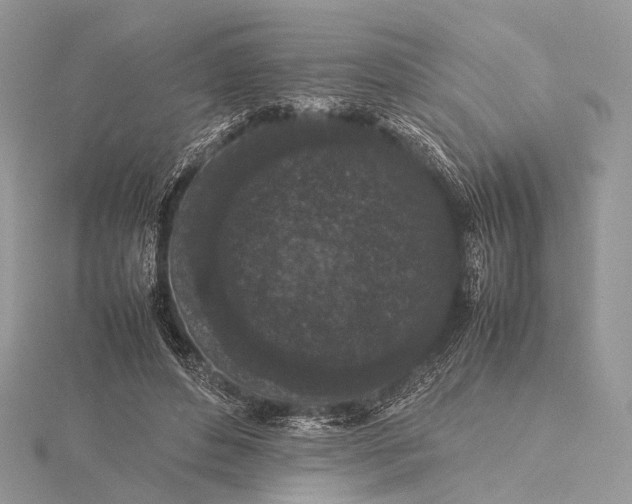 X0000115740496200912031430