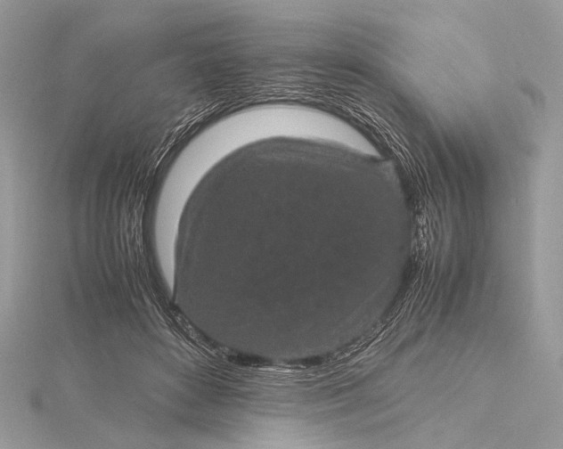 X0000115740504200912031430