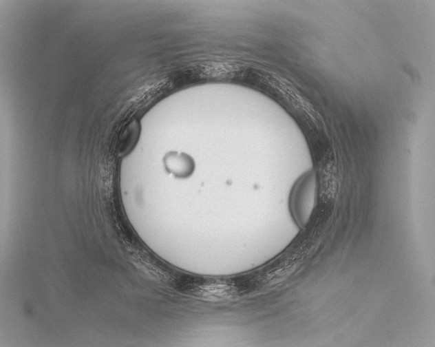 X0000115740505200912031430