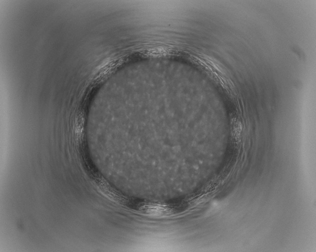 X0000115740507200912031430