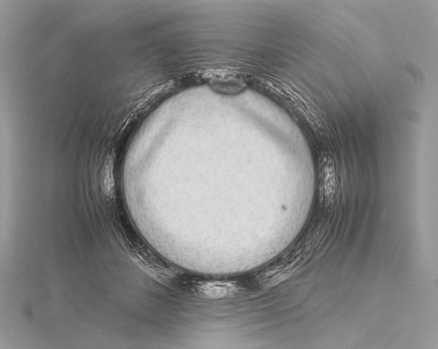 X0000115740508200912031430