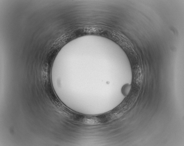 X0000115740510200912031430