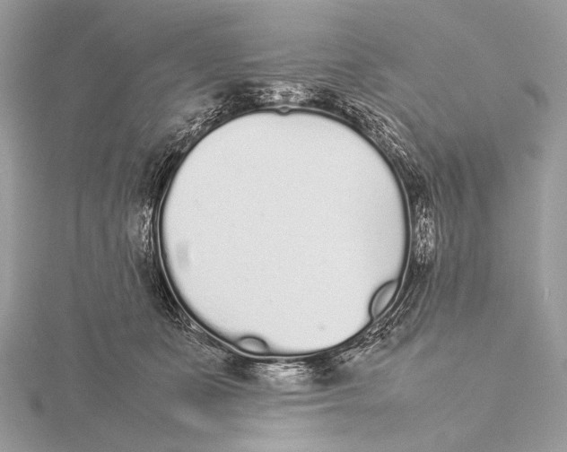 X0000115740511200912031430